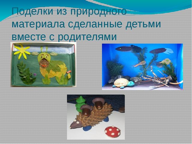 Проект в средней группе "Путешествие по экологической тропинке"
