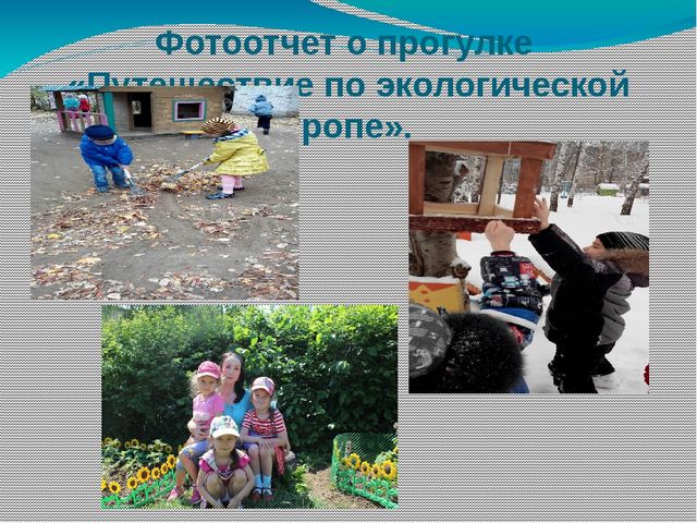 Проект в средней группе "Путешествие по экологической тропинке"