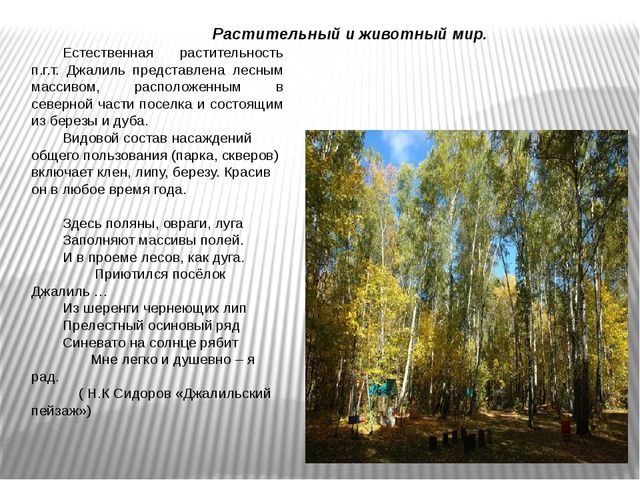 Презентация к образовательной деятельности "Мой посёлок Джалиль"