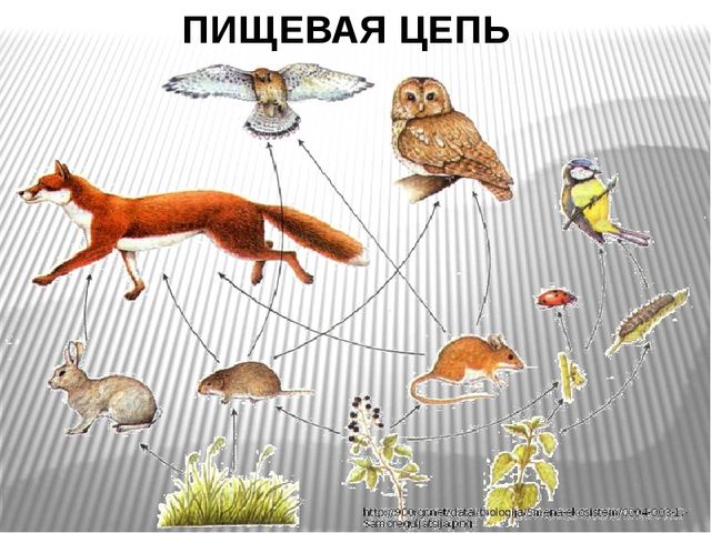 Презентация к образовательной деятельности "Мой посёлок Джалиль"