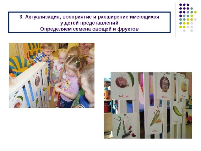 Презентация "Отчет о проведении мероприятия «Тайны Уральских гор»