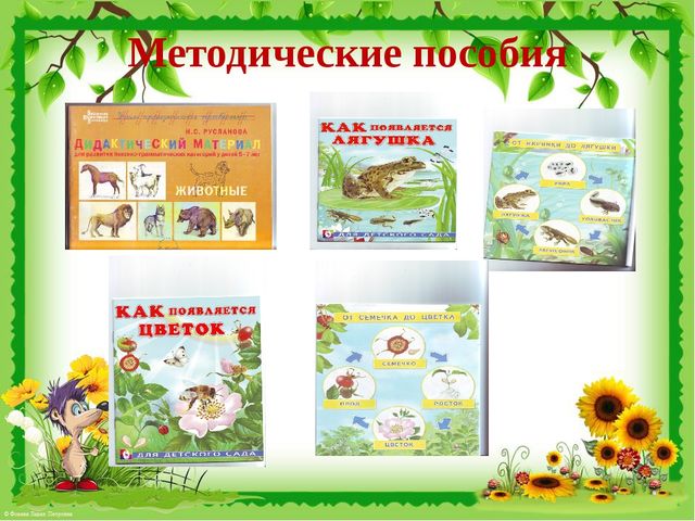 Презентация "Решение задач экологического воспитания детей дошкольного возраста через речевое развитие"