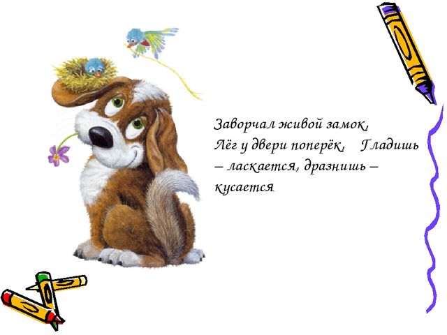Презентация по ознакомлению с окружающим миром на тему "Животные"