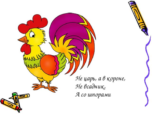 Презентация по ознакомлению с окружающим миром на тему "Животные"