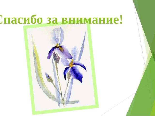 Презентация "Программа кружковой деятельности"