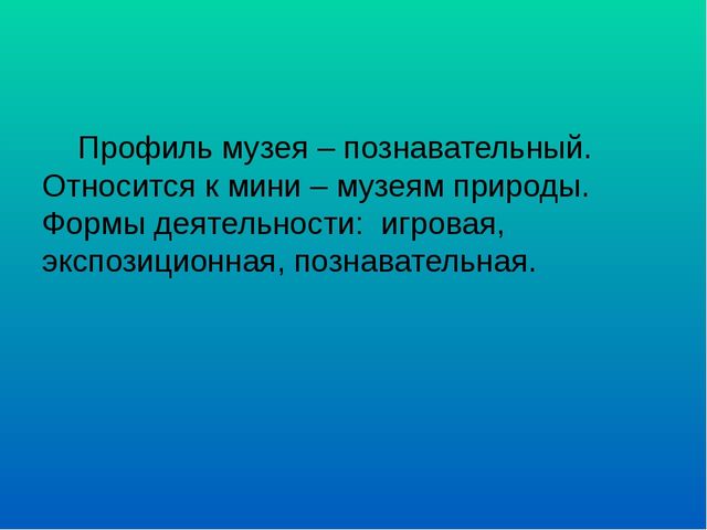 Презентация "Мини музей "Дружная семейка"