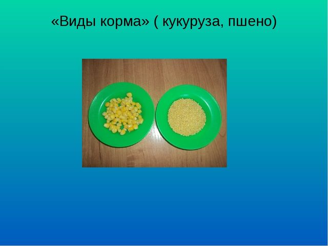 Презентация "Мини музей "Дружная семейка"