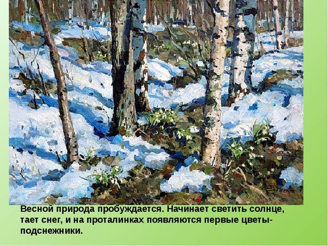 Презентация по ознакомлению с окружающим "Детям о подснежниках".