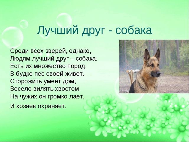ПРЕЗЕНТАЦИЯ ПРОЕТА "ЛУЧШИЙ ДРУГ- СОБАКА"