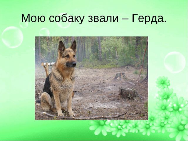 ПРЕЗЕНТАЦИЯ ПРОЕТА "ЛУЧШИЙ ДРУГ- СОБАКА"