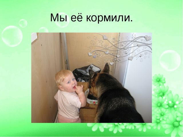 ПРЕЗЕНТАЦИЯ ПРОЕТА "ЛУЧШИЙ ДРУГ- СОБАКА"