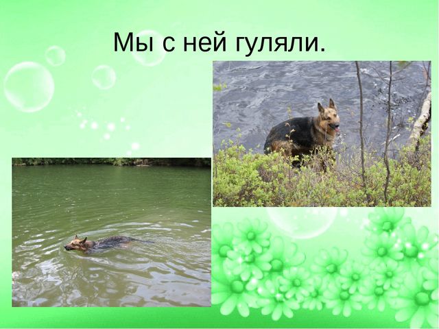 ПРЕЗЕНТАЦИЯ ПРОЕТА "ЛУЧШИЙ ДРУГ- СОБАКА"