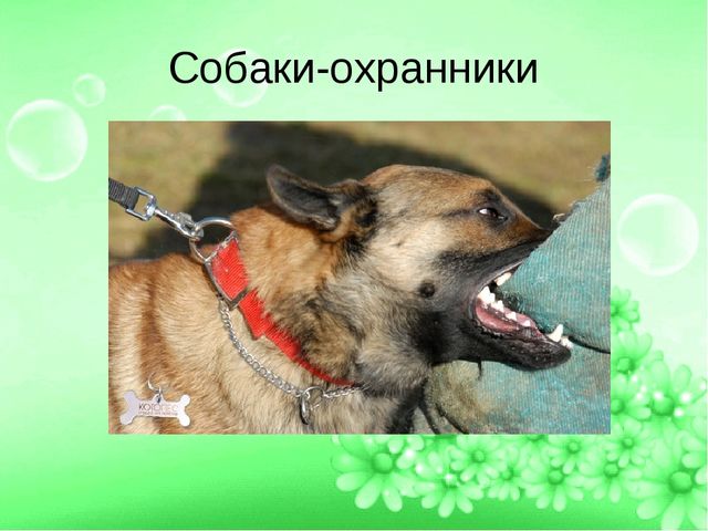 ПРЕЗЕНТАЦИЯ ПРОЕТА "ЛУЧШИЙ ДРУГ- СОБАКА"