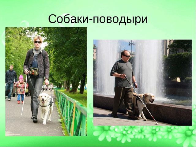 ПРЕЗЕНТАЦИЯ ПРОЕТА "ЛУЧШИЙ ДРУГ- СОБАКА"