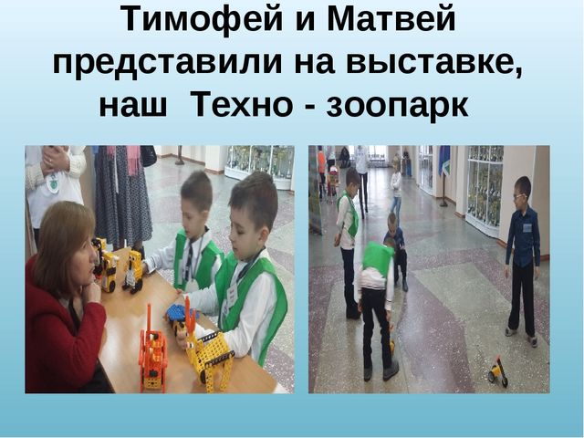 ПРЕЗЕНТАЦИЯ РОБОФЕСТ ПО ПРОЕКТУ, "ЭКО-РОБОТ".