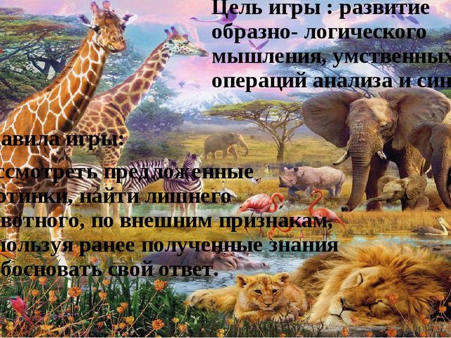 Интерактивная игра для дошкольников "Четвёртый лишний", по лексической теме "Животные жарких стран".