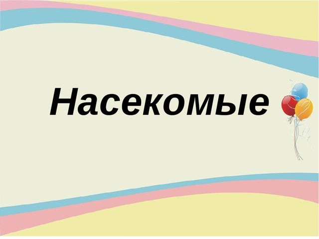 Презентация для младшей группы "Насекомые"
