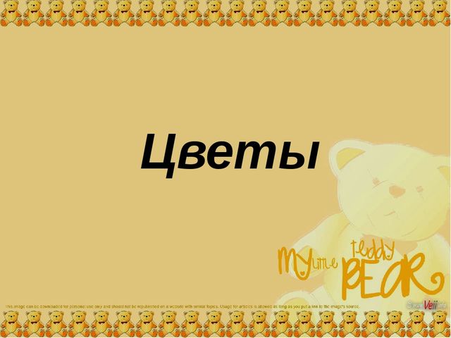 Презентация для средней группы "Цветы"