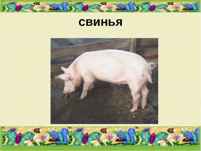 Презентация для средней группы "Домашние животные"