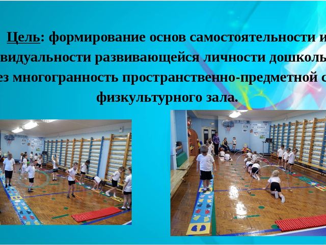 Предметно развивающая среда по физической культуре