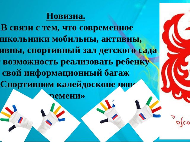 Предметно развивающая среда по физической культуре