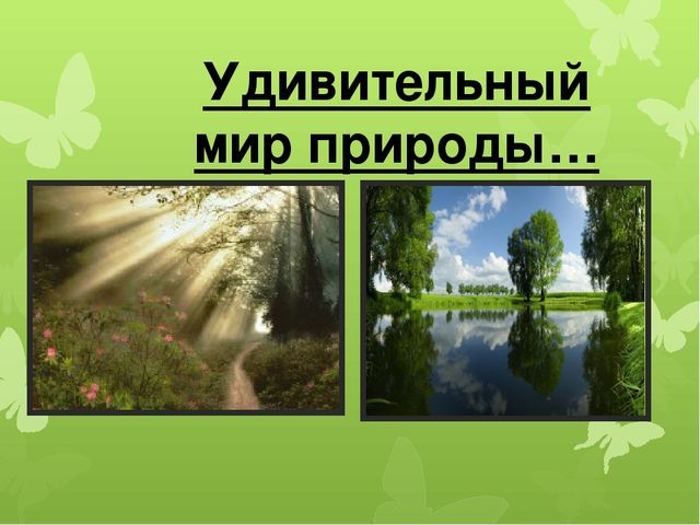 Презентация по экологии "Развитие экологических представлений у детей младшего дошкольного возраста через решение проблемных ситуаций на прогулке."