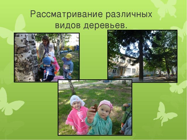 Презентация по экологии "Развитие экологических представлений у детей младшего дошкольного возраста через решение проблемных ситуаций на прогулке."