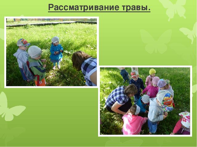 Презентация по экологии "Развитие экологических представлений у детей младшего дошкольного возраста через решение проблемных ситуаций на прогулке."