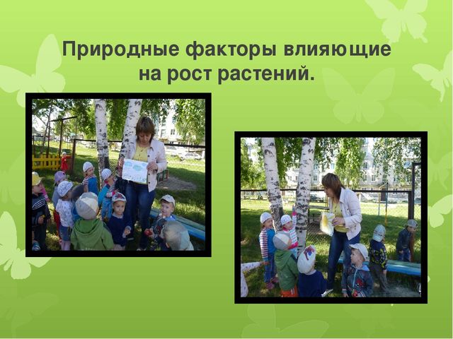 Презентация по экологии "Развитие экологических представлений у детей младшего дошкольного возраста через решение проблемных ситуаций на прогулке."