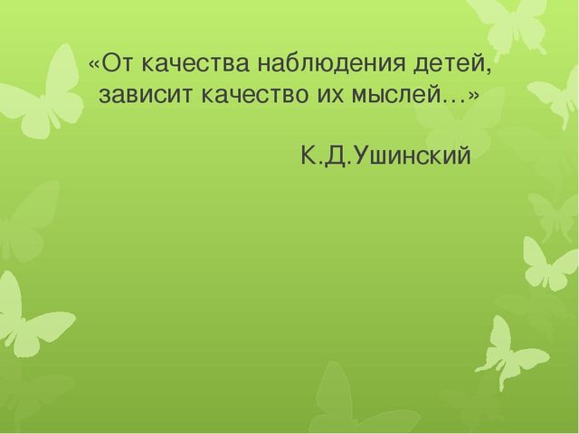 Презентация по экологии "Развитие экологических представлений у детей младшего дошкольного возраста через решение проблемных ситуаций на прогулке."