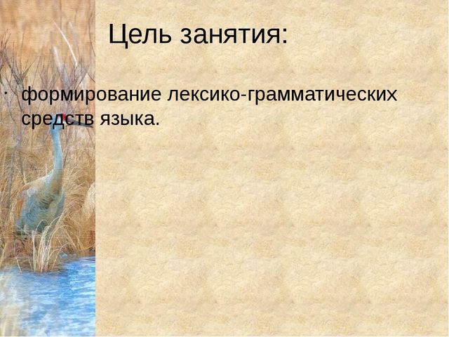 Конспект урока с презентацией "Домашнии птицы" (средняя группа)