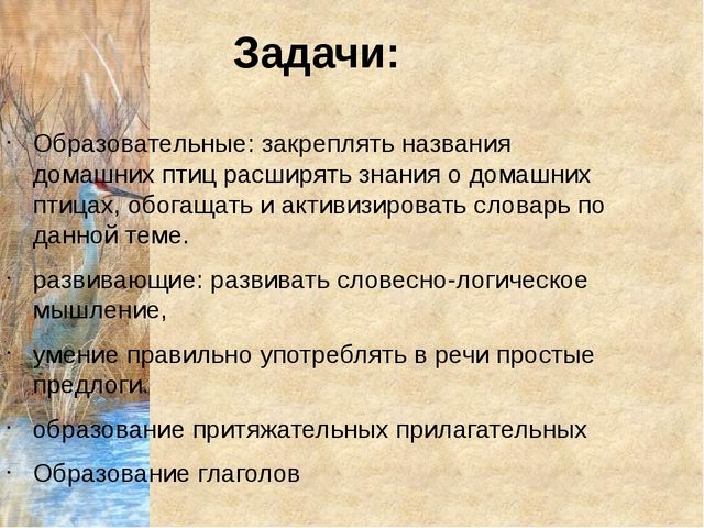 Конспект урока с презентацией "Домашнии птицы" (средняя группа)