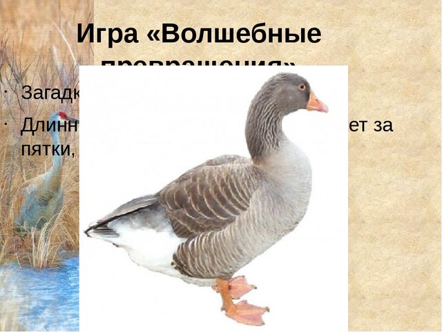 Конспект урока с презентацией "Домашнии птицы" (средняя группа)