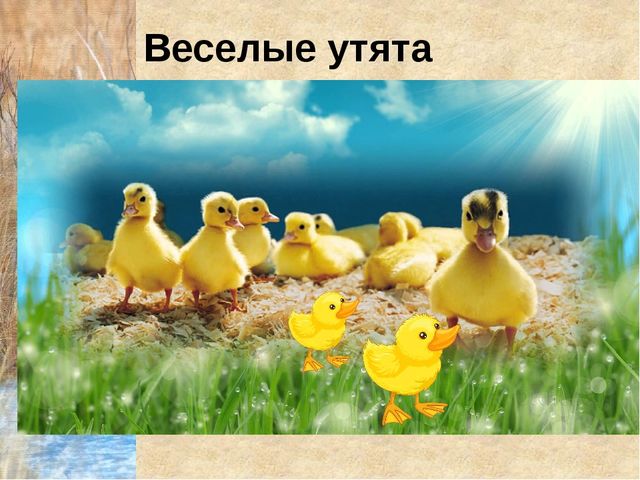 Конспект урока с презентацией "Домашнии птицы" (средняя группа)