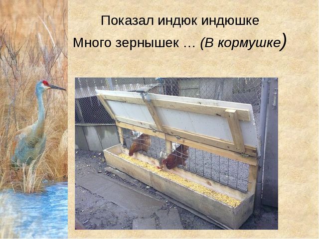 Конспект урока с презентацией "Домашнии птицы" (средняя группа)