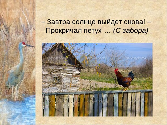 Конспект урока с презентацией "Домашнии птицы" (средняя группа)