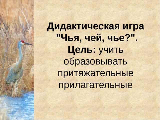 Конспект урока с презентацией "Домашнии птицы" (средняя группа)