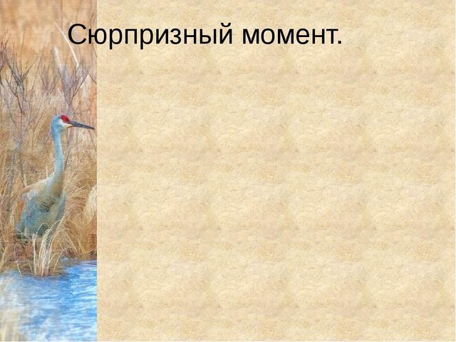 Конспект урока с презентацией "Домашнии птицы" (средняя группа)