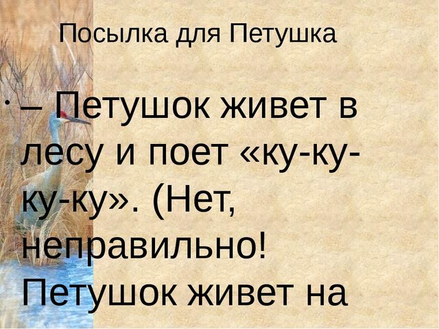 Конспект урока с презентацией "Домашнии птицы" (средняя группа)