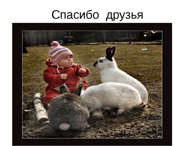 Презентация для детей 5-6 лет по экологическому воспитанию.
