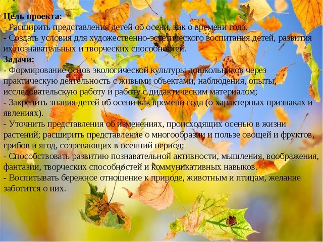 Презентация по теме экологический проект"Осень - чудная пора!"