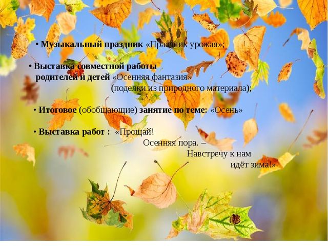 Презентация по теме экологический проект"Осень - чудная пора!"