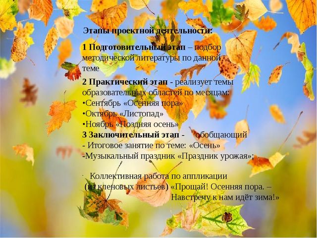 Презентация по теме экологический проект"Осень - чудная пора!"