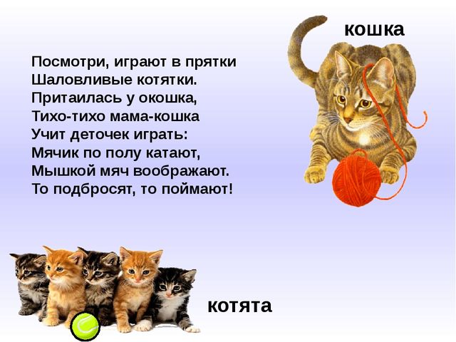 Презентация "Домашние животные и их детеныши"