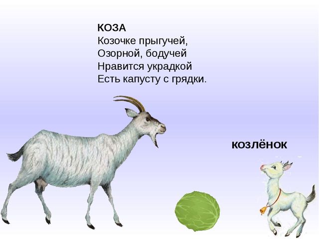 Презентация "Домашние животные и их детеныши"