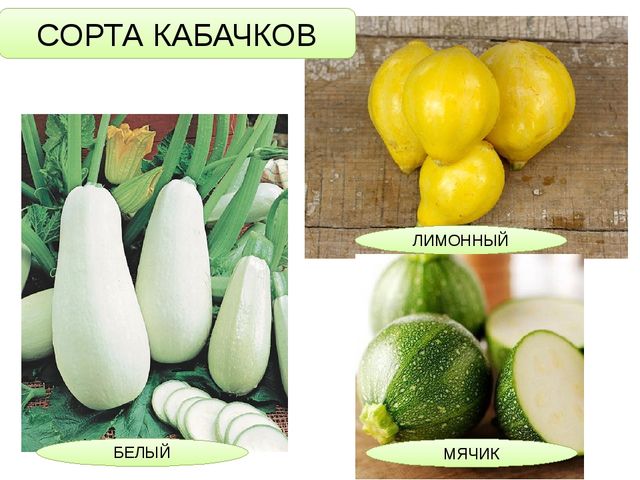 ОС ПО ПОЗНАВАТЕЛЬНОМУ РАЗВИТИЮ "ЧТО НАМ ОСЕНЬ ПРИНЕСЛА?"