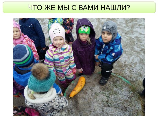 ОС ПО ПОЗНАВАТЕЛЬНОМУ РАЗВИТИЮ "ЧТО НАМ ОСЕНЬ ПРИНЕСЛА?"