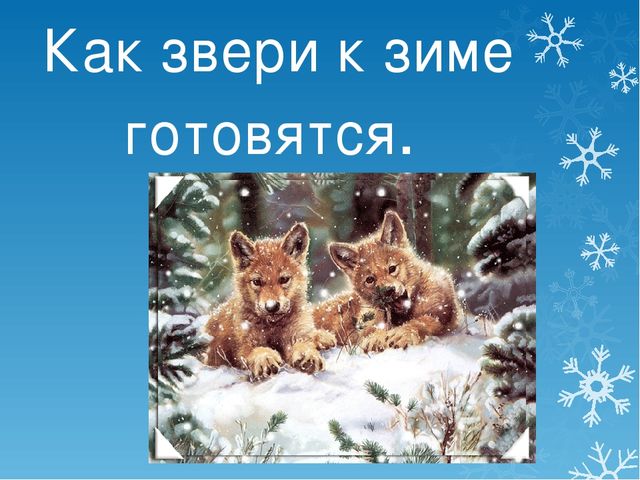 Презентация Как звери к зиме готовятся