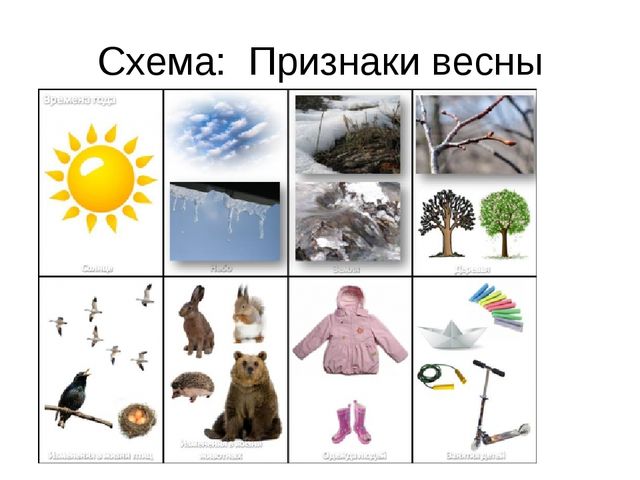 Презентация по экологии "Пришла весна"