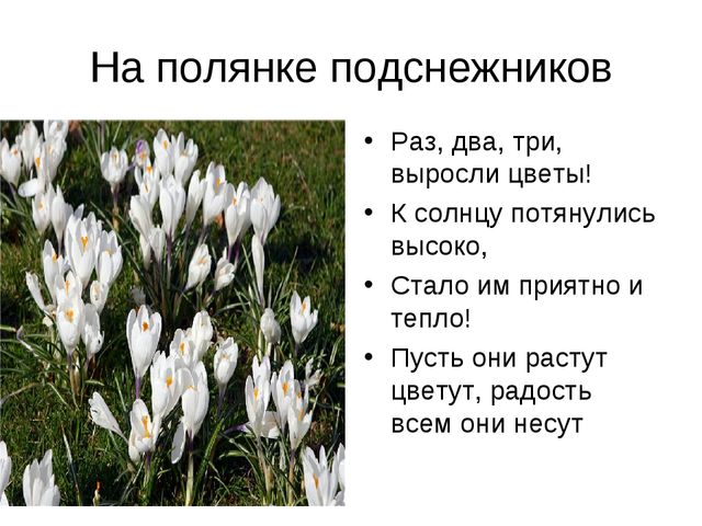 Презентация по экологии "Пришла весна"